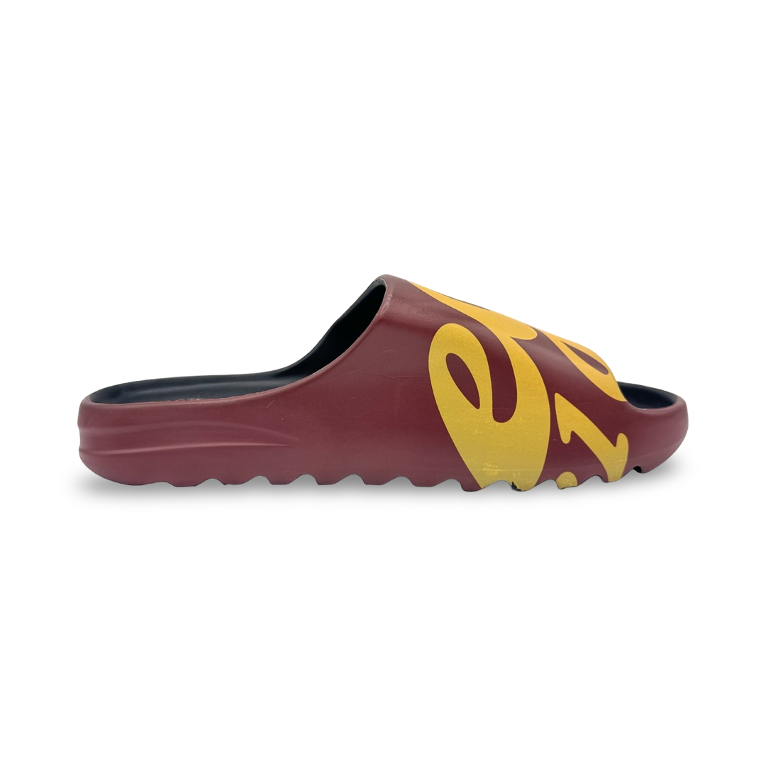 Skegee 1881 Slides